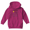 ikea hero type s Youth Hoodie