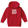 i'm not arguing i'm simply explaining why i'm right Youth Hoodie