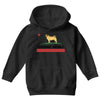 colifornia republic parody pugfornia republic Youth Hoodie