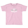 i have two titles aunt and godmother Toddler T-shirt