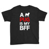 a pug is my bff Youth Tee