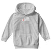 case ih farm center line Youth Hoodie