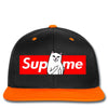 supreme cat Snapback