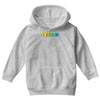 bazinga periodic table funny funny birthday present gift Youth Hoodie