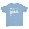 The Universe Is Made Of Protons Neutrons Electrons Morons Youth Tee