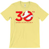 30th anniversary ghostbuster T-Shirt