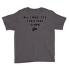 All I Want For Christmas Is You Youth Tee