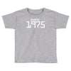 made in 1975 birthday celebration funny party Toddler T-shirt
