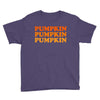 pumpkin pumpkin pumpkin Youth Tee
