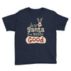 dear santa i've been good Youth Tee