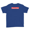 harambe gorilla Youth Tee