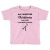 all i want for christmas is a cure carcinoid cancer Toddler T-shirt