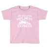 all aboard hot mess express train Toddler T-shirt