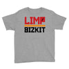 limp bizkit black logo Youth Tee