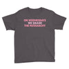 on wednesdays we smash the patriarchy Youth Tee