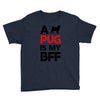 a pug is my bff Youth Tee