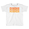pumpkin pumpkin pumpkin Toddler T-shirt