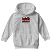 im not insane, ideal birthday gift or present Youth Hoodie