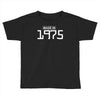 made in 1975 birthday celebration funny party Toddler T-shirt