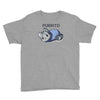 blanket purrito Youth Tee