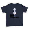 no probllama Youth Tee