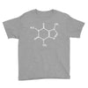 Caffeine Molecule Youth Tee