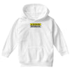 warning offensive mens funny Youth Hoodie