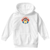 everything is awesome   mens funny lego Youth Hoodie