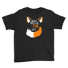 for fox sake Youth Tee