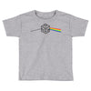 pink floyd parody d20 dungeons and dragons Toddler T-shirt