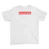 harambe gorilla Youth Tee