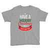 have a merry christmas and a happy new year Youth Tee