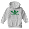 addicted ~ mens funny Youth Hoodie