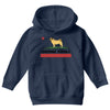 colifornia republic parody pugfornia republic Youth Hoodie