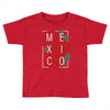 mexico with roses Toddler T-shirt