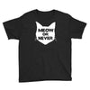 meow or never cat Youth Tee