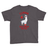 boxing llama Youth Tee