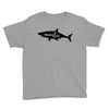 Auntie Shark Youth Tee