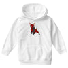 chihuahuapool Youth Hoodie