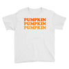 pumpkin pumpkin pumpkin Youth Tee