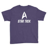 hardwell star trek Youth Tee