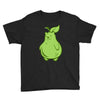 grizzly pear Youth Tee