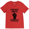 introverts unite separately in your own homes V-Neck Tee