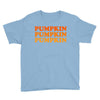 pumpkin pumpkin pumpkin Youth Tee