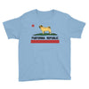 colifornia republic parody pugfornia republic Youth Tee