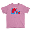 quebec nordiques Youth Tee