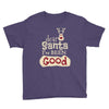 dear santa i've been good Youth Tee