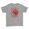 mother of dragons Youth Tee
