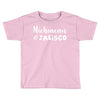 michoacan and jalisco Toddler T-shirt