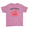 sagittarius zodiac Youth Tee